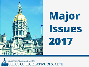 20161215_2017 Major Issues.pdf